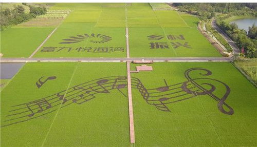 優(yōu)質(zhì)特種稻產(chǎn)業(yè)振興示范園簽約揭牌儀式圓滿(mǎn)舉行