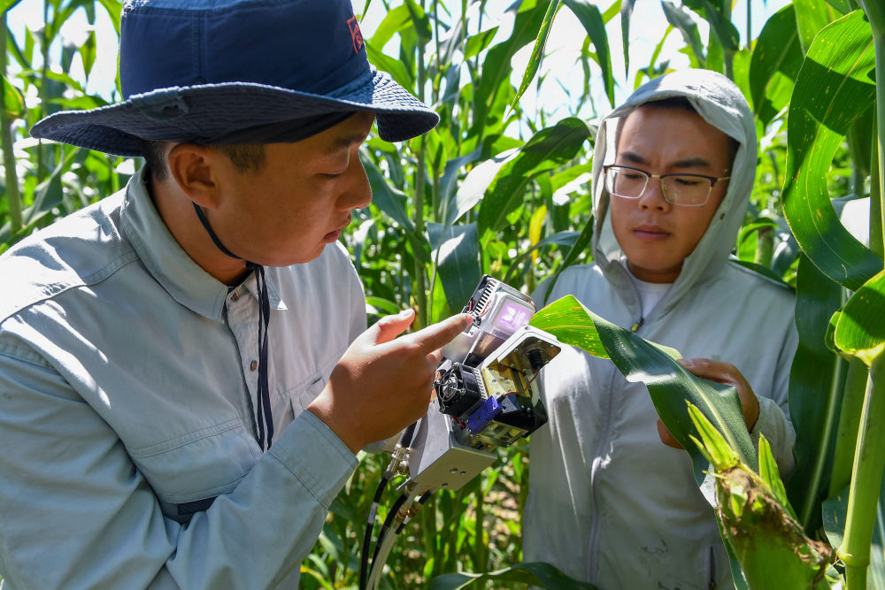 科技賦能中國農(nóng)民的豐收年 農(nóng)業(yè)科學研究的試驗發(fā)展