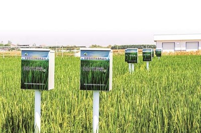 省農科院鄂州基地 現代科技賦能，感受農業發展的堅實底氣