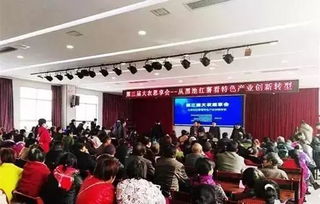 權威專家解讀 紅薯生產種植的關鍵要點與科學管理